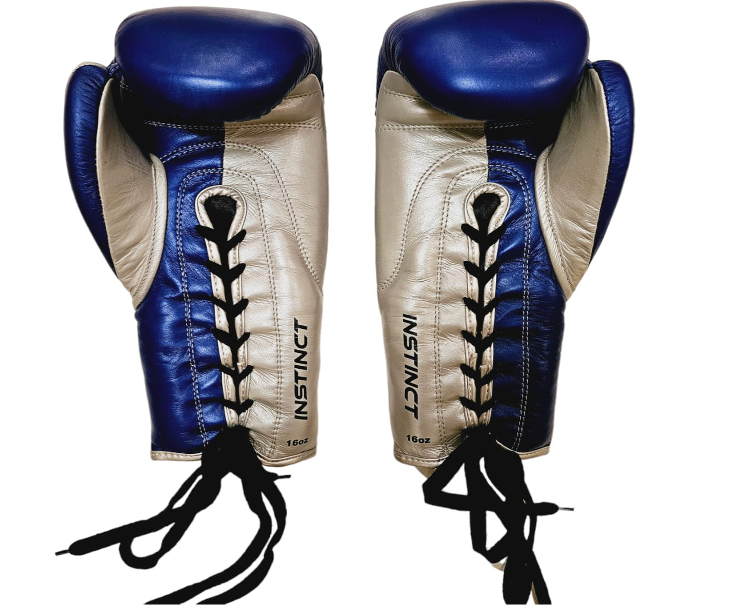 Blue and Silver Boxing gloves