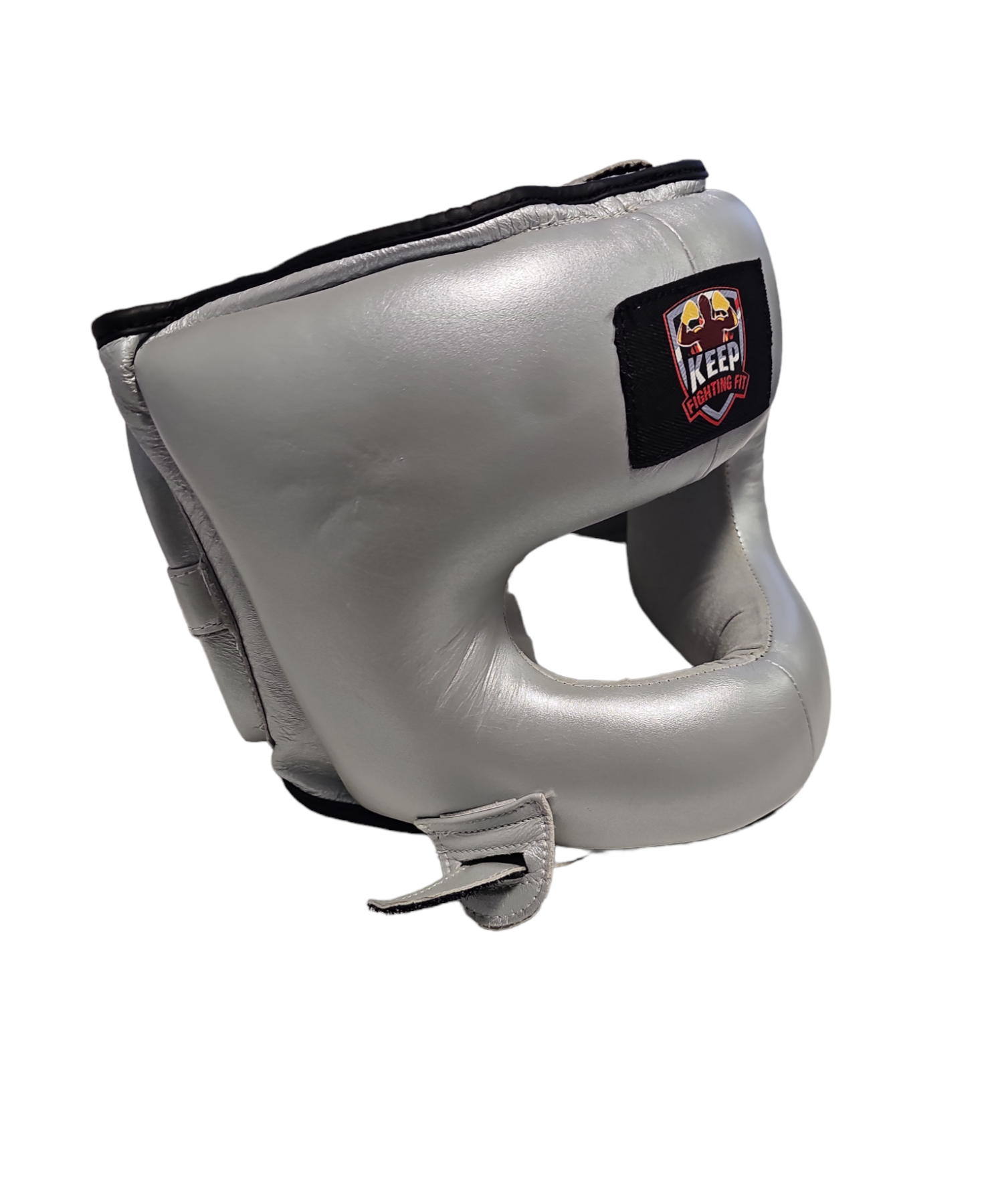 face protector